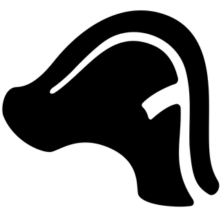 Bicorne